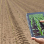 using data to maximise agri yields