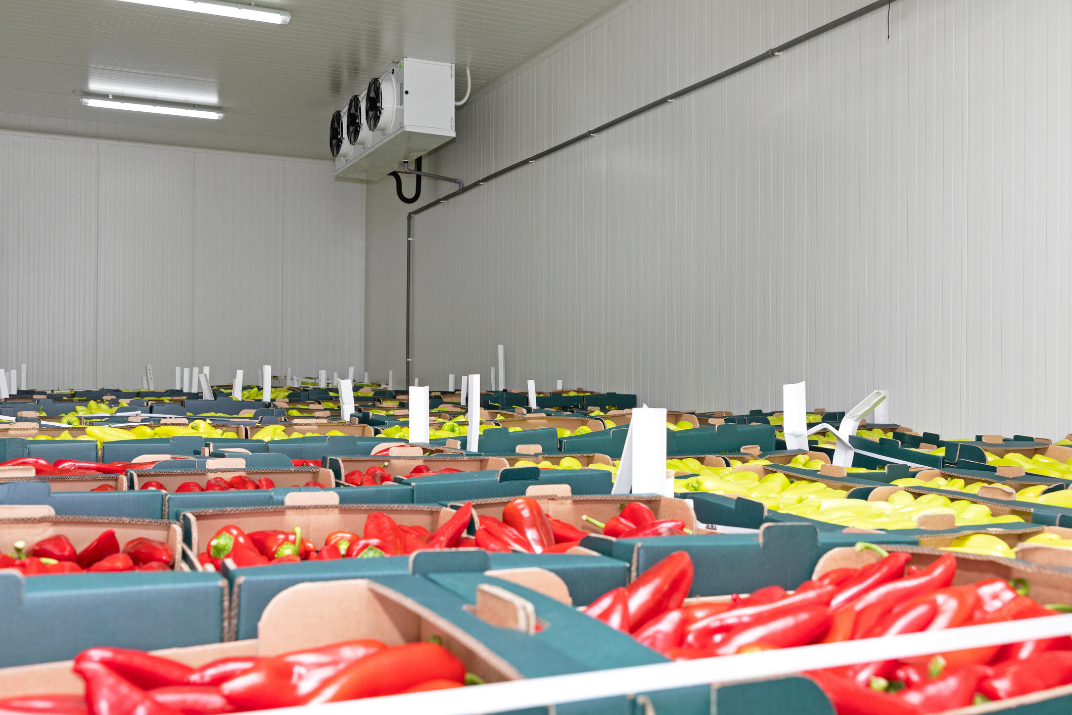 Oaktree’s 1.7bn cold storage exit follows inbound offer Agri Investor
