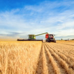 Harvest, wheat, farmland, Australia, crops