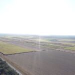 Aerial view of farm near Bundaberg, Queensland