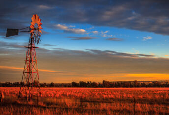 Farm land in Outback, Dubbo, Australia