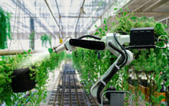 Indoor farming robot