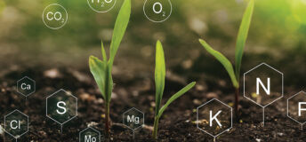 Fertilization and the role of nutrients in plant life. Soil with digital mineral nutrients