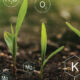 Fertilization and the role of nutrients in plant life. Soil with digital mineral nutrients
