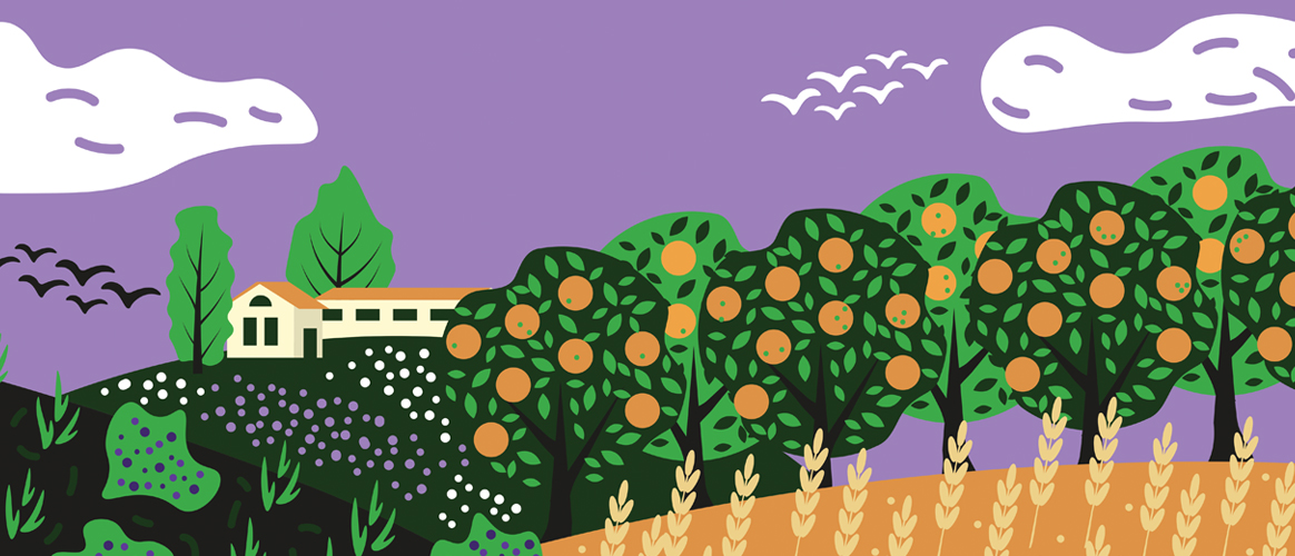 Agroforestry: Making money grow on trees