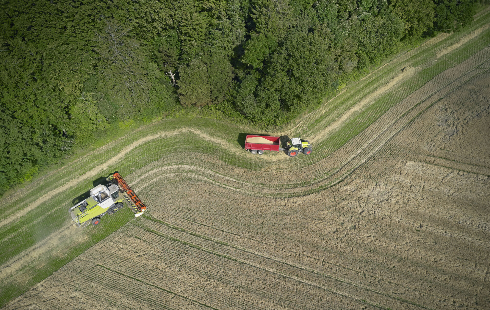 agri-food-and-forestry-20-set-the-industry-s-pace