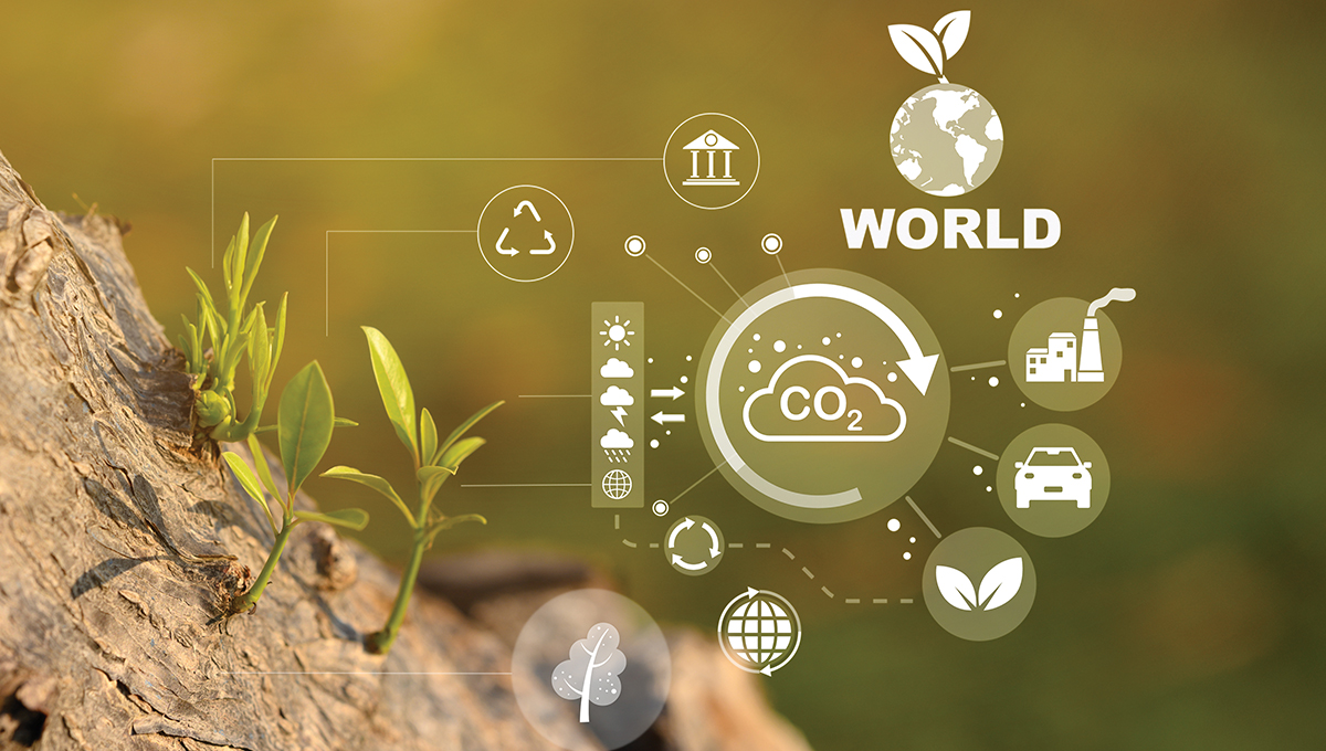 Nuveen Natural Capital on Nature-based solutions