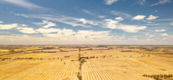Wheatbelt in Western Australia, agriculture region, the source of two thirds of the state's wheat production, half of its wool production, aerial view of gold fields of wheat and blue sky.