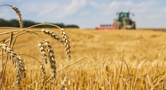 Farmland 3