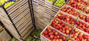 Fruits cold storage