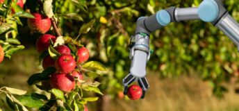 Robot harvesting fruit