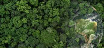 Aerial top view green forest with globe earth, Green planet in your hands, Save Earth, Texture of forest view from above ecosystem and healthy environment, Globe and forest.