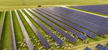 Aerial view of agrivoltaics