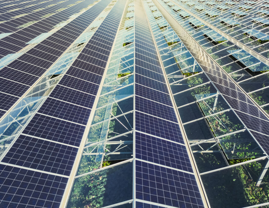 Greenhouse, photovoltaic panels, energy, agtech, green tech, CEA Greenhouse with mounted solar panels