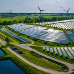 Solar, wind and livestock