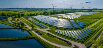 Solar, wind and livestock