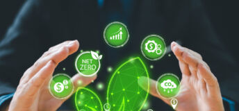 Green business concept. Bank finance money investment for sustainability, carbon credit. Green tree leaf, footprint icon, stack of coins, seedling growing on top. ESG, co2 green tax, fund, trading