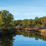 Manulife: Investing in nature and climate transition Lake shoreline