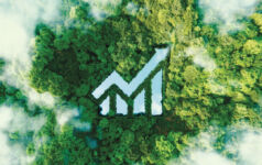 Data forest green