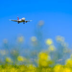 Australia commits A$1.1bn to boost low-carbon fuels industry Passenger airplane Swiss Airbus A320-214 registration HB-IJP landing at Swiss Airport Zürich Kloten on a sunny spring day. Photo taken May 1st, 2025, Zurich Kloten, Switzerland.