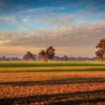 ANREV: Australian farmland returns stay negative for seventh straight quarter Alpine Rd, Australia