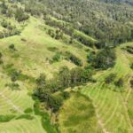 Inside the first biodiversity project in Australia’s Nature Repair Market
