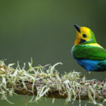 Field Notes: EcoEnterprises hits $100m first close for LatAm-impact fund; MENA funds brace for climate impact