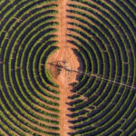 Australian agriculture risks missing net-zero investment wave without clear targets Coffee plantation with irrigation equipment.