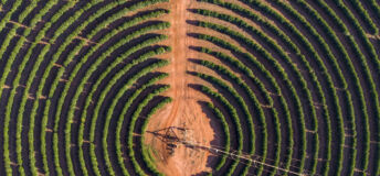 Coffee plantation with irrigation equipment.