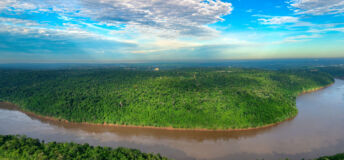 Paraguay forest