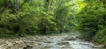 Flowing water stream