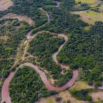 Field Notes: Astarte launches Impact Forestry Fund II with $80m banked; Mandala Capital secures anchor for SSEA Food Fund