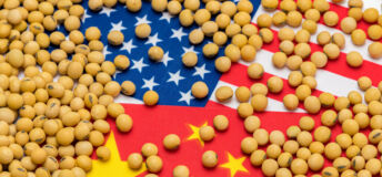 US and China flags covered with soybeans