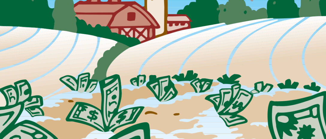 bank notes sprouting in a field