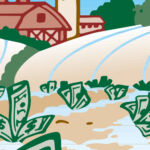 bank notes sprouting in a field