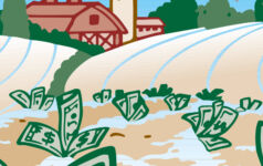 How education and market integrity can boost biodiversity investment bank notes sprouting in a field