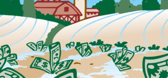 bank notes sprouting in a field