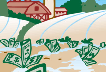 bank notes sprouting in a field