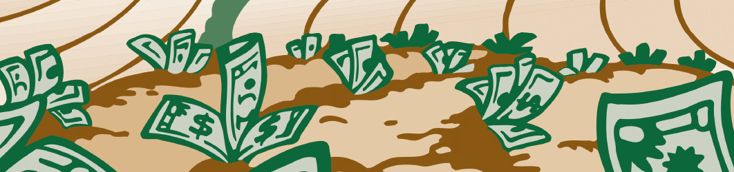 1062x250_ agri impact 2025 cover image banner 1