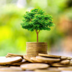 Small trees on a pile of gold coins and a natural green background. Money saving ideas.