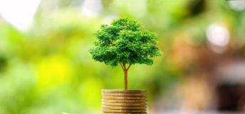Small trees on a pile of gold coins and a natural green background. Money saving ideas.
