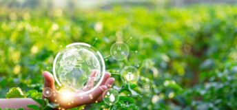 Woman hand with potato plantations grow in field. vegetable rows. farming, agriculture. Smart farming and precision agriculture 4.0. modern agricultural technology and data management to industry farm