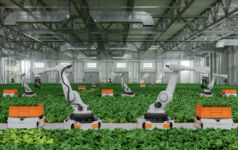 Agtech: ‘This is no time to retreat’, says Cibus Capital’s Rob Appleby Robots harvesting crops