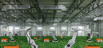 Robots harvesting crops