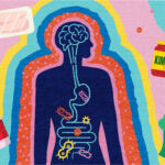 Brain, gut, good bacteria