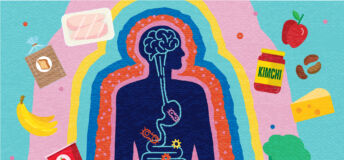 Brain, gut, good bacteria