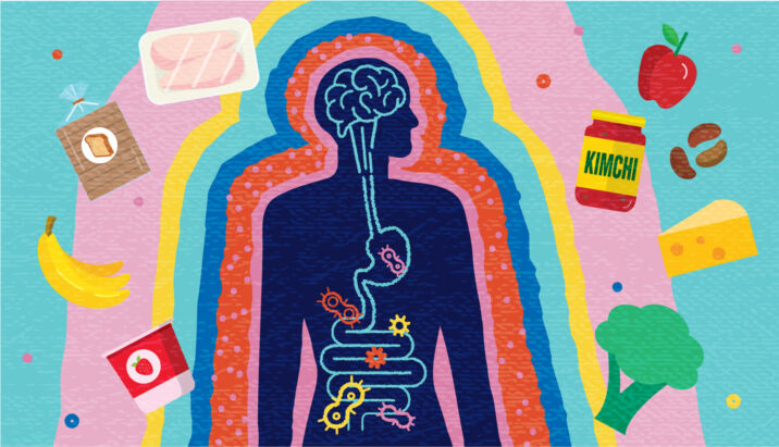 Brain, gut, good bacteria