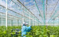 Centuria acquired the Two Wells glasshouse in South Australia from PSP Investments for A$168m.