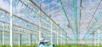 Centuria acquired the Two Wells glasshouse in South Australia from PSP Investments for A$168m.