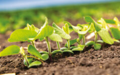 Regenerate Asset Management on natural capital’s next frontier